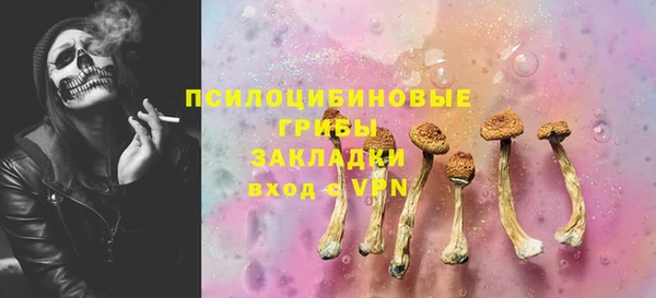 шишки Алзамай