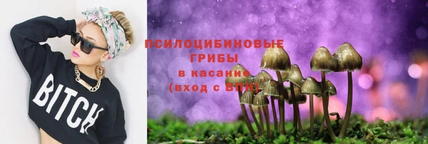 шишки Алзамай